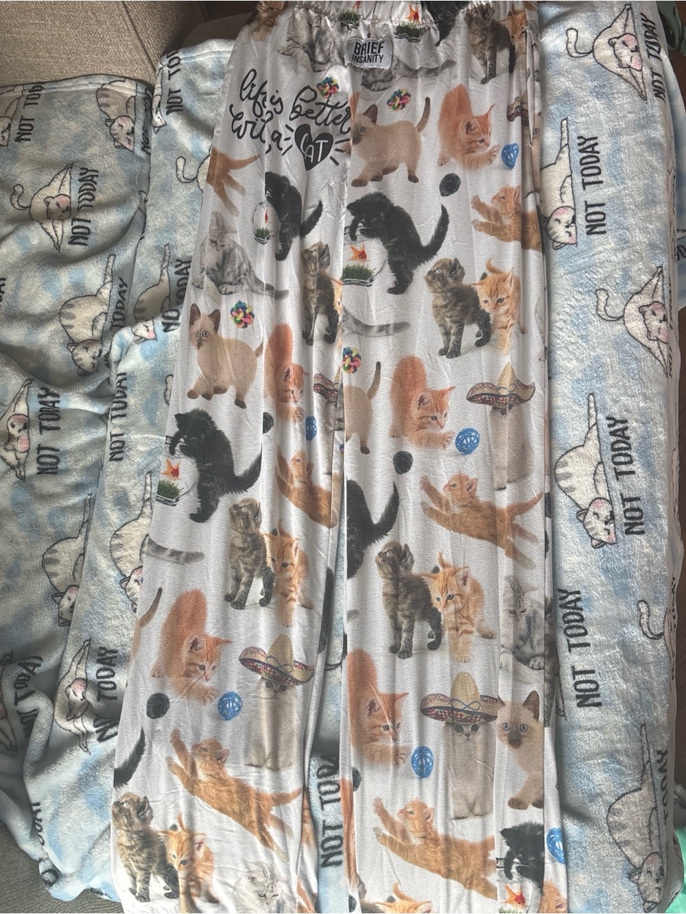 Cat Print Lounge Pants - Multi-Colored Kittens